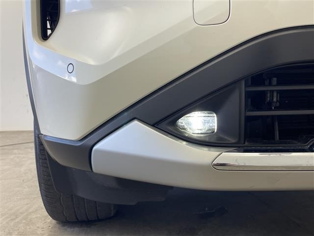 Nissan X-TRAIL 2025 8149000-14