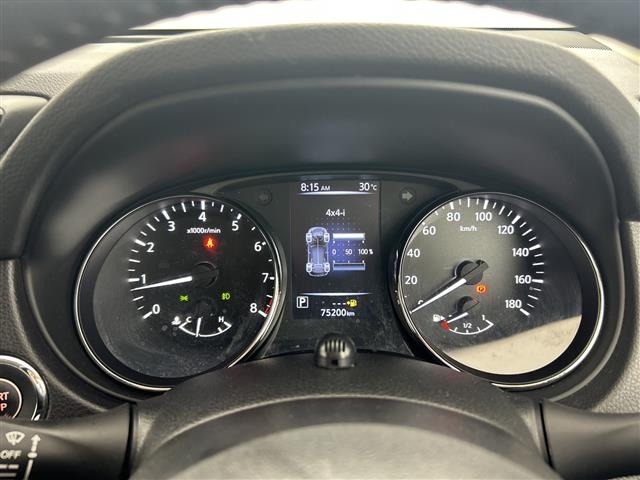 Nissan X-TRAIL 2020 8149075-19