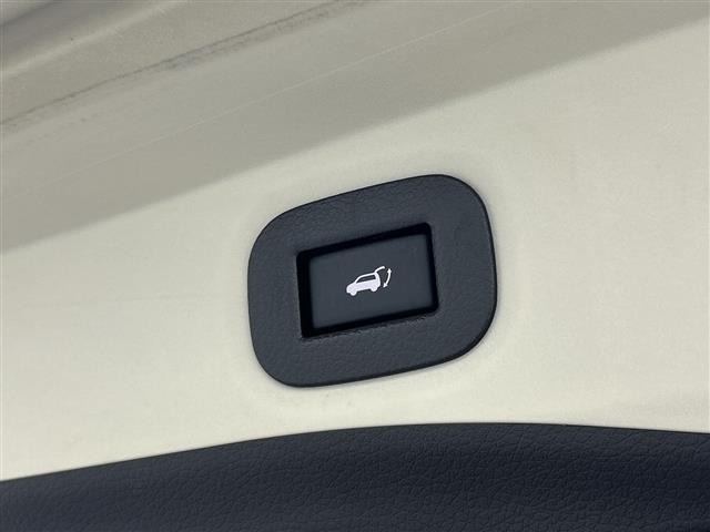 Nissan X-TRAIL 2019 8149087-21