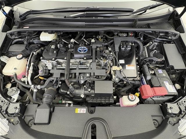 Toyota COROLLA TOURING 2019 8161828-14