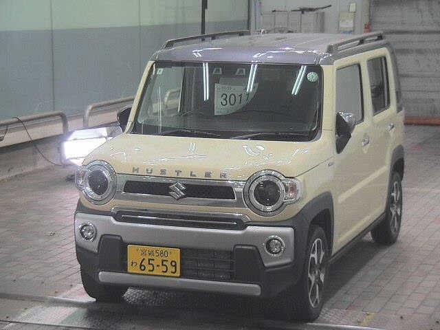 Suzuki HUSTLER 2022 8155406-4