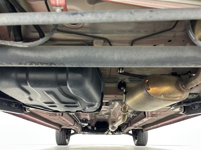 Suzuki HUSTLER 2017 8156888-13