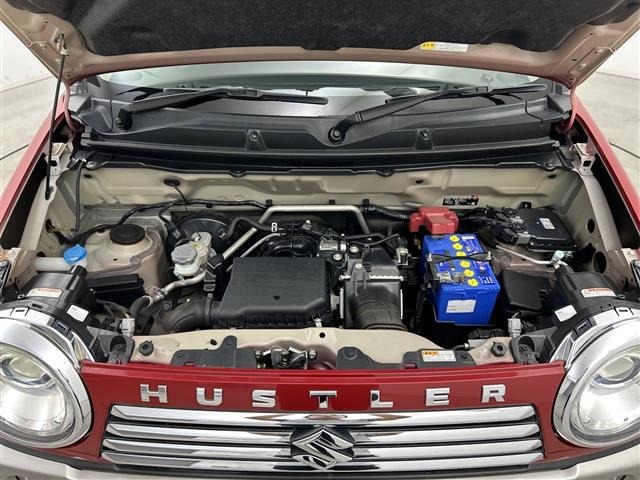 Suzuki HUSTLER 2017 8156888-14