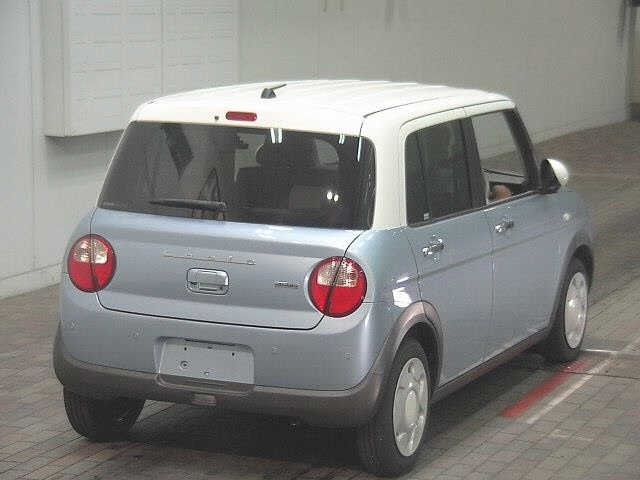 Suzuki LAPIN 2021 8159900-5