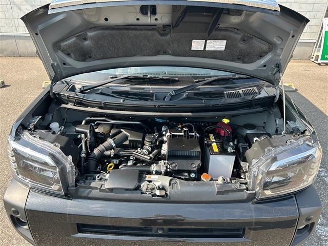 Daihatsu TAFT 2021 8162564-40
