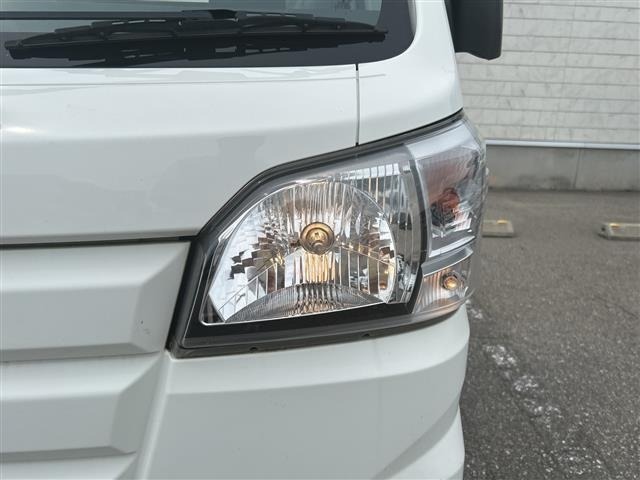 Daihatsu HIJET TRUCK 2019 8174373-13