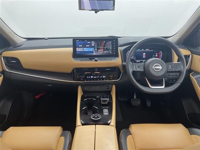 Nissan X-TRAIL 2023 8174193-15