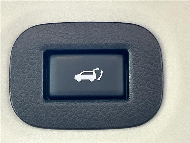 Nissan X-TRAIL 2017 8174215-10