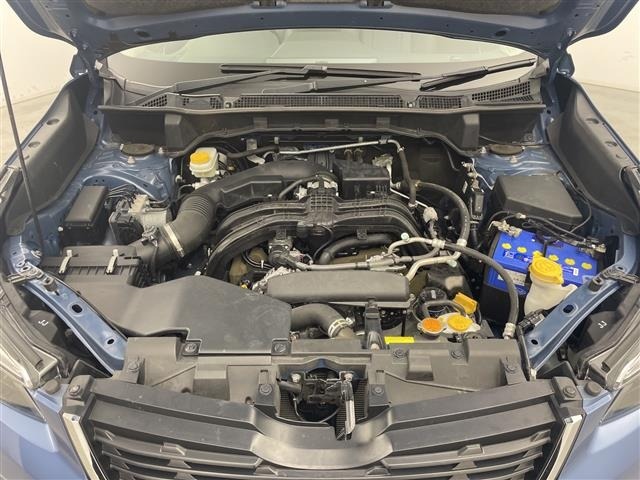 Subaru FORESTER 2018 8176134-14