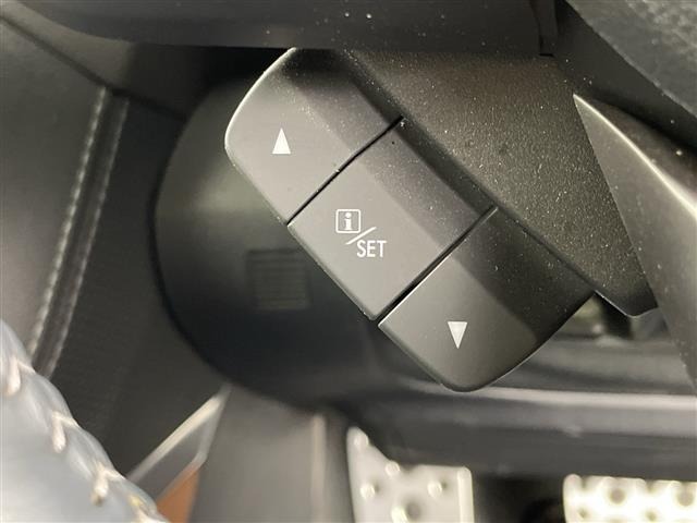 Subaru FORESTER 2023 8176146-10