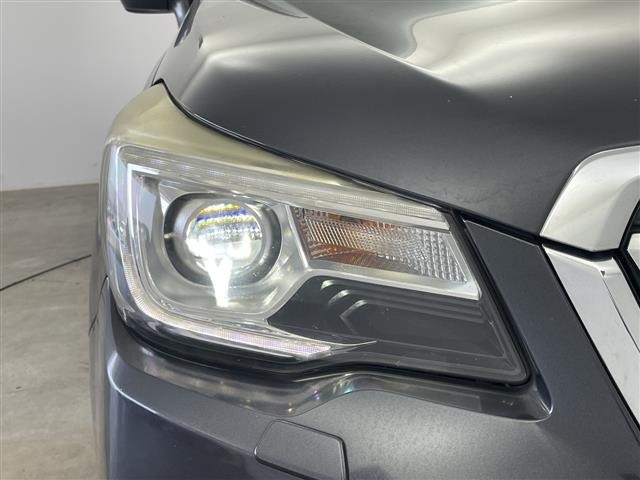Subaru FORESTER 2016 8176157-10