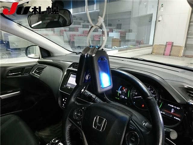 Honda GRACE 2018 8176860-10