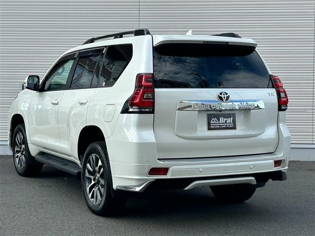 Toyota LAND CRUISER PRADO 2022 8177751-13