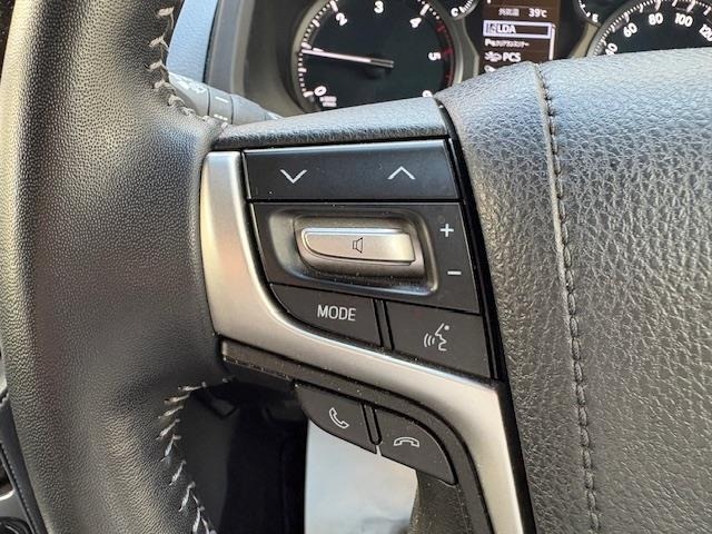 Toyota LAND CRUISER PRADO 2023 8177810-22