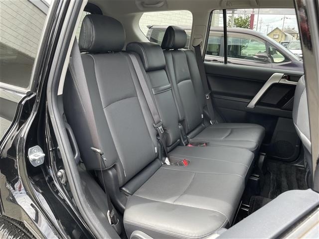 Toyota LAND CRUISER PRADO 2023 8177826-11