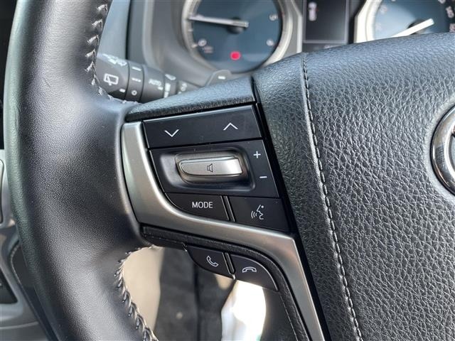 Toyota LAND CRUISER PRADO 2022 8177830-22
