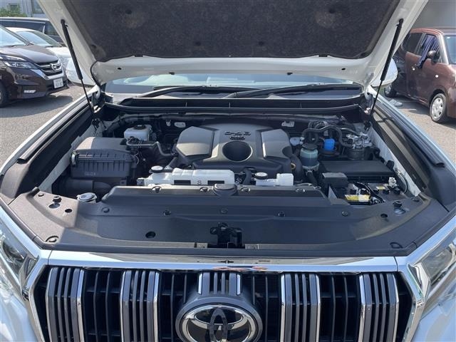 Toyota LAND CRUISER PRADO 2022 8177830-7