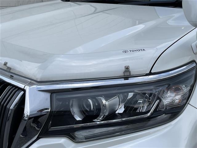 Toyota LAND CRUISER PRADO 2018 8177846-19