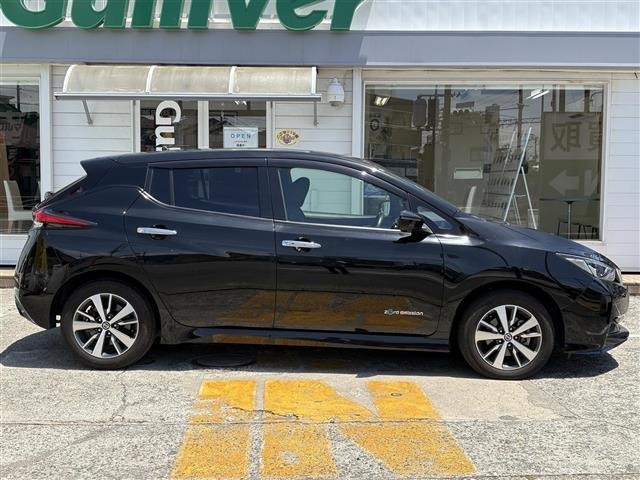 Nissan LEAF 2019 8178211-19