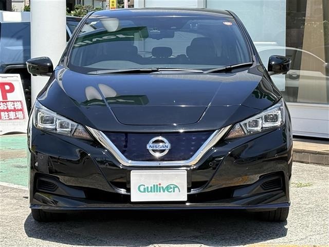 Nissan LEAF 2019 8178211-21