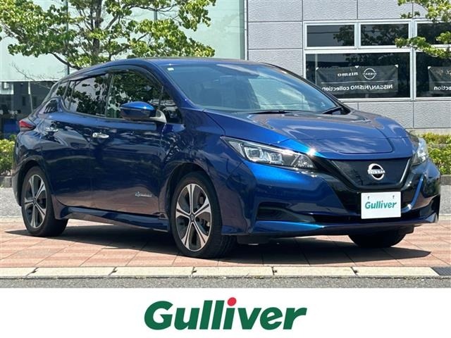 Nissan LEAF 2021 8178214-0