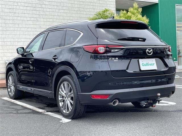 Mazda CX-8 2021 8193444-13
