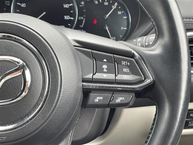 Mazda CX-8 2021 8193444-7