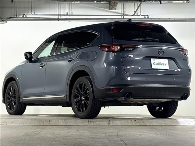 Mazda CX-8 2022 8193495-13