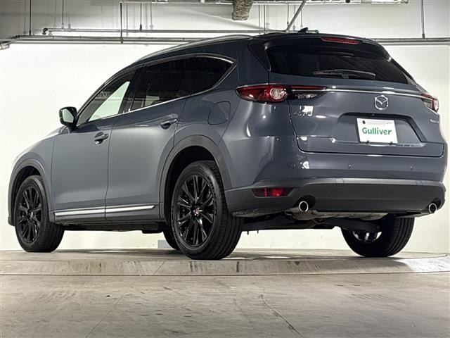 Mazda CX-8 2021 8193521-13