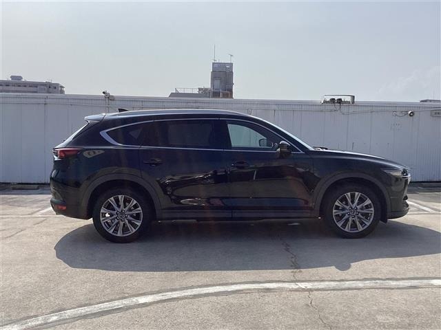 Mazda CX-8 2018 8193559-10