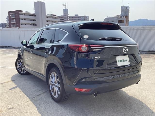 Mazda CX-8 2018 8193559-17