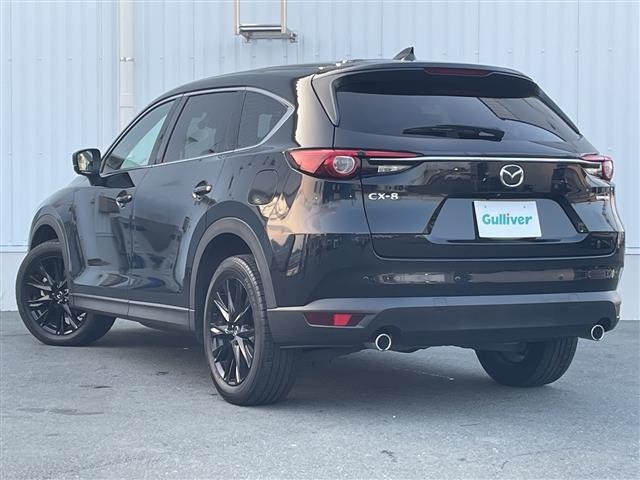 Mazda CX-8 2022 8193566-13
