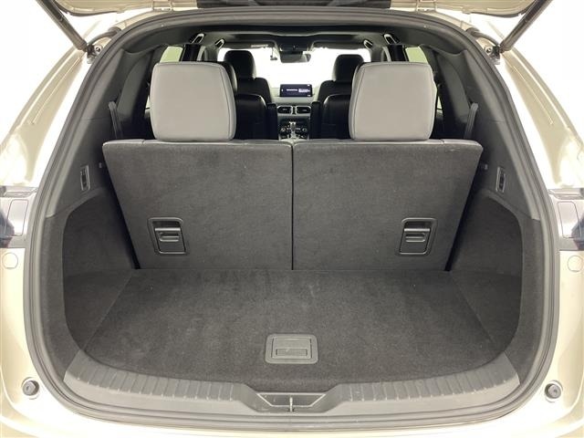 Mazda CX-8 2023 8193571-11