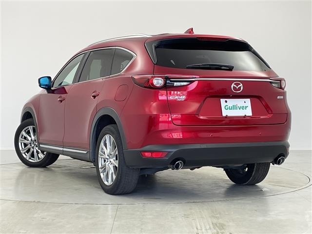 Mazda CX-8 2018 8193576-13