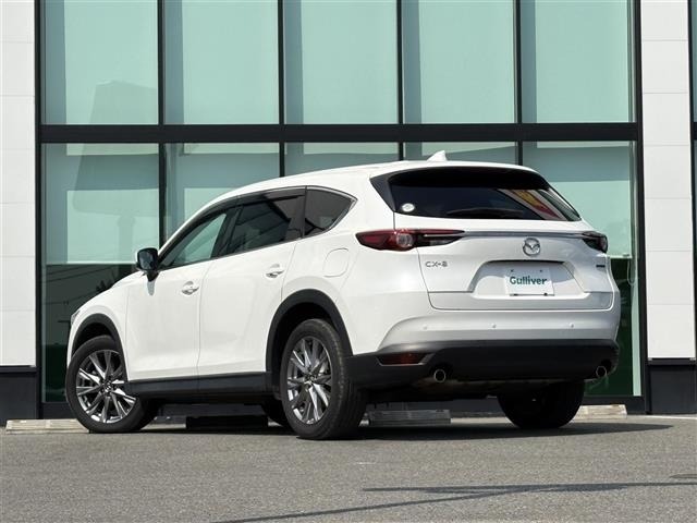 Mazda CX-8 2020 8193592-13