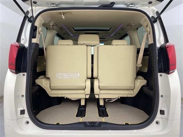 Toyota ALPHARD 2021 8206631-10