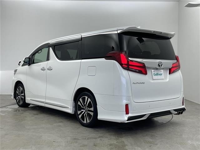 Toyota ALPHARD 2023 8206941-13