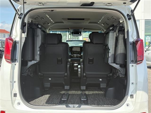 Toyota ALPHARD 2021 8206982-20