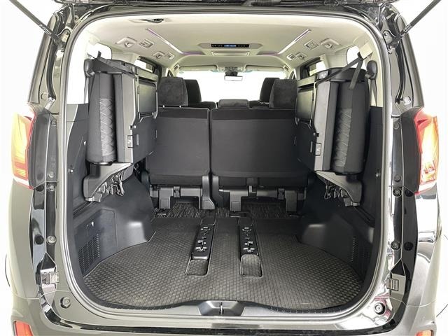 Toyota ALPHARD 2021 8207439-10