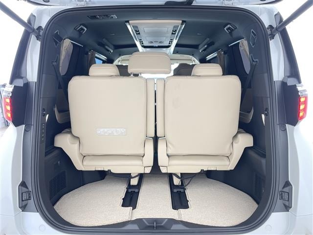 Toyota ALPHARD 2024 8207518-22