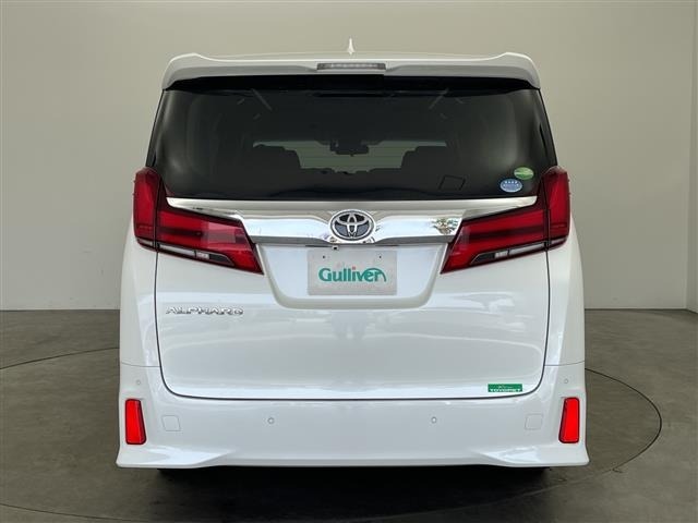 Toyota ALPHARD 2019 8207568-18