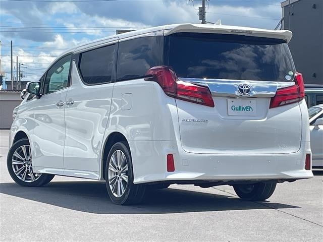 Toyota ALPHARD 2018 8207767-13
