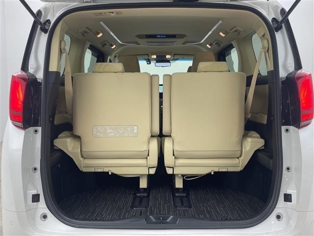 Toyota ALPHARD 2021 8207982-10