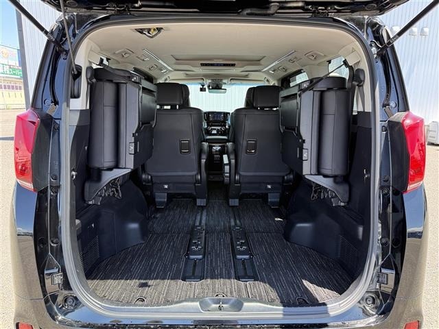 Toyota ALPHARD 2021 8208021-11