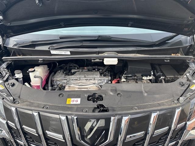 Toyota ALPHARD 2022 8208368-14