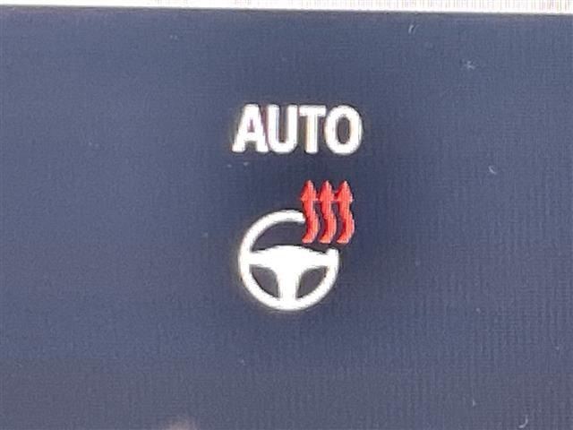 Toyota ALPHARD 2023 8208466-19