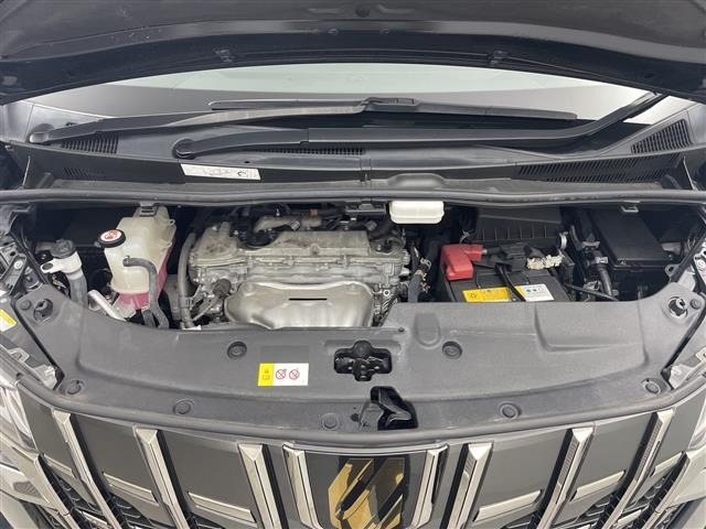 Toyota ALPHARD 2021 8209003-14