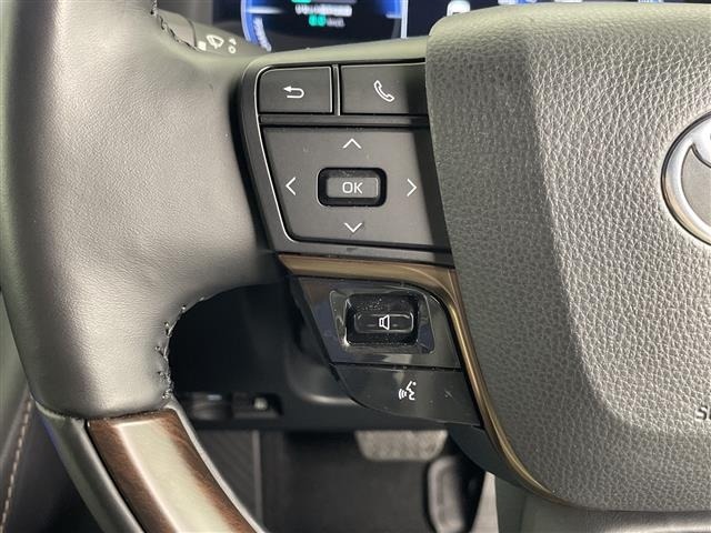 Toyota ALPHARD 2024 8209077-9