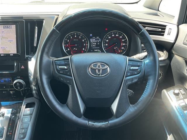 Toyota ALPHARD 2019 8209118-19