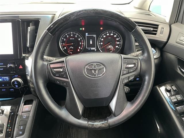 Toyota ALPHARD 2023 8209398-19